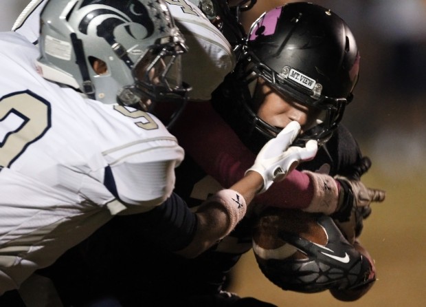 Ironwood Ridge 42, Mountain View 14